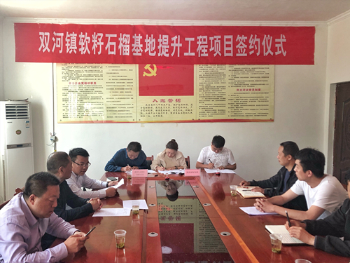 陕西BC贷集团签约旬阳县双河镇软籽石榴种植基地提升工程项目 陕西BC贷集团签约旬阳县双河镇软籽石榴种植基地提升工程项目