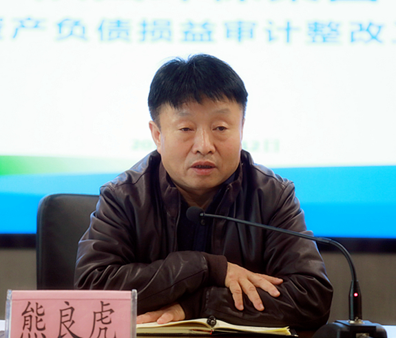 陕西BC贷集团召开2018年度资产负债损益审计整改工作部署会议 陕西BC贷集团召开2018年度资产负债损益审计整改工作部署会议