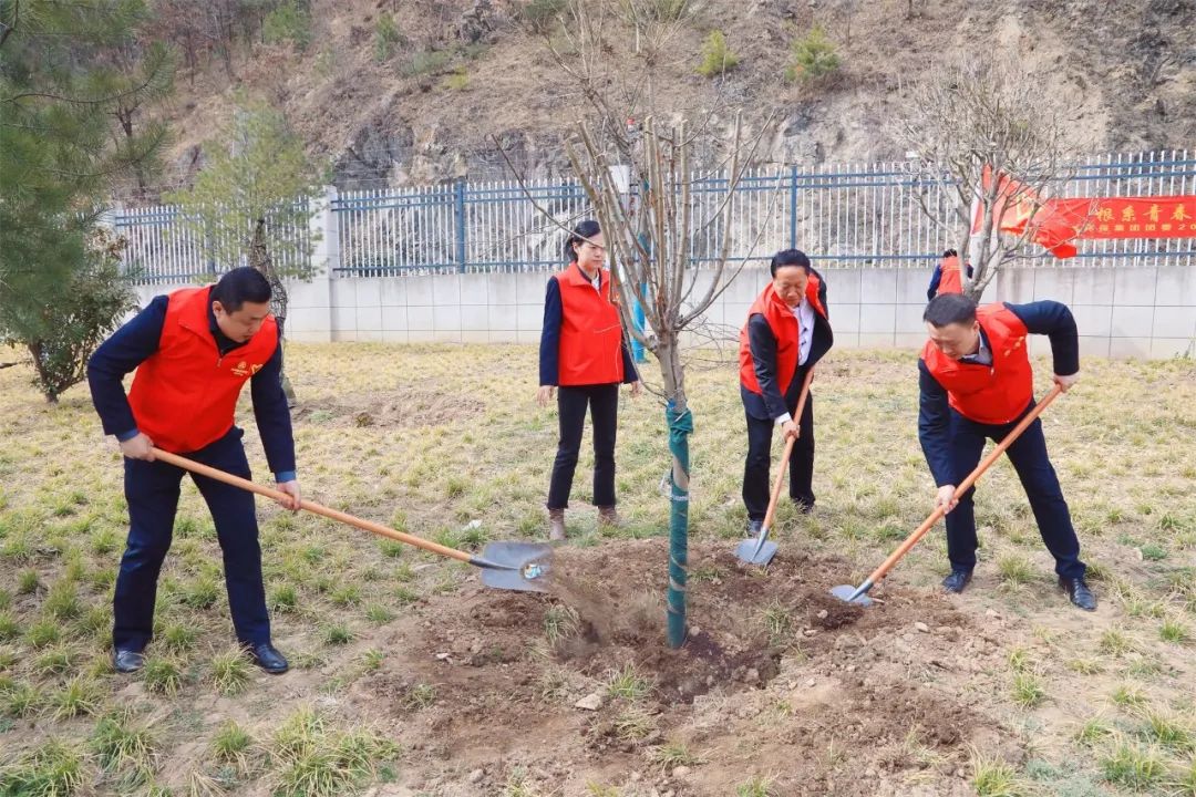 根系青春·植此青绿|陕西BC贷集团团委发展使命植树自愿活动 根系青春·植此青绿|陕西BC贷集团团委发展使命植树自愿活动